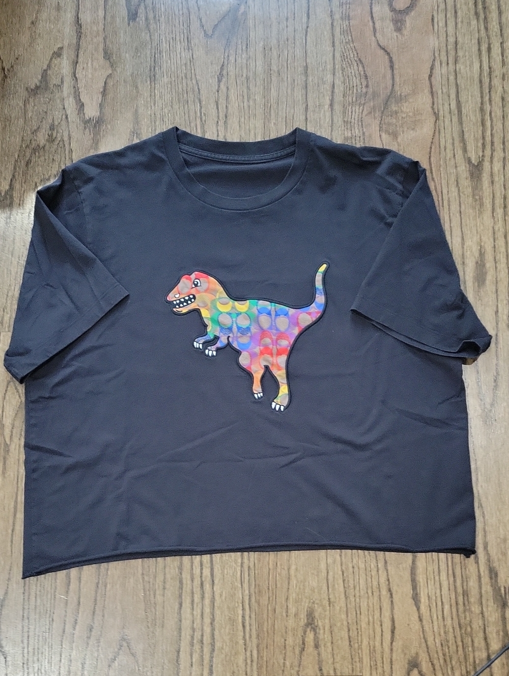 Coach Dinosaur Collection Tee - Picture 2 of 3